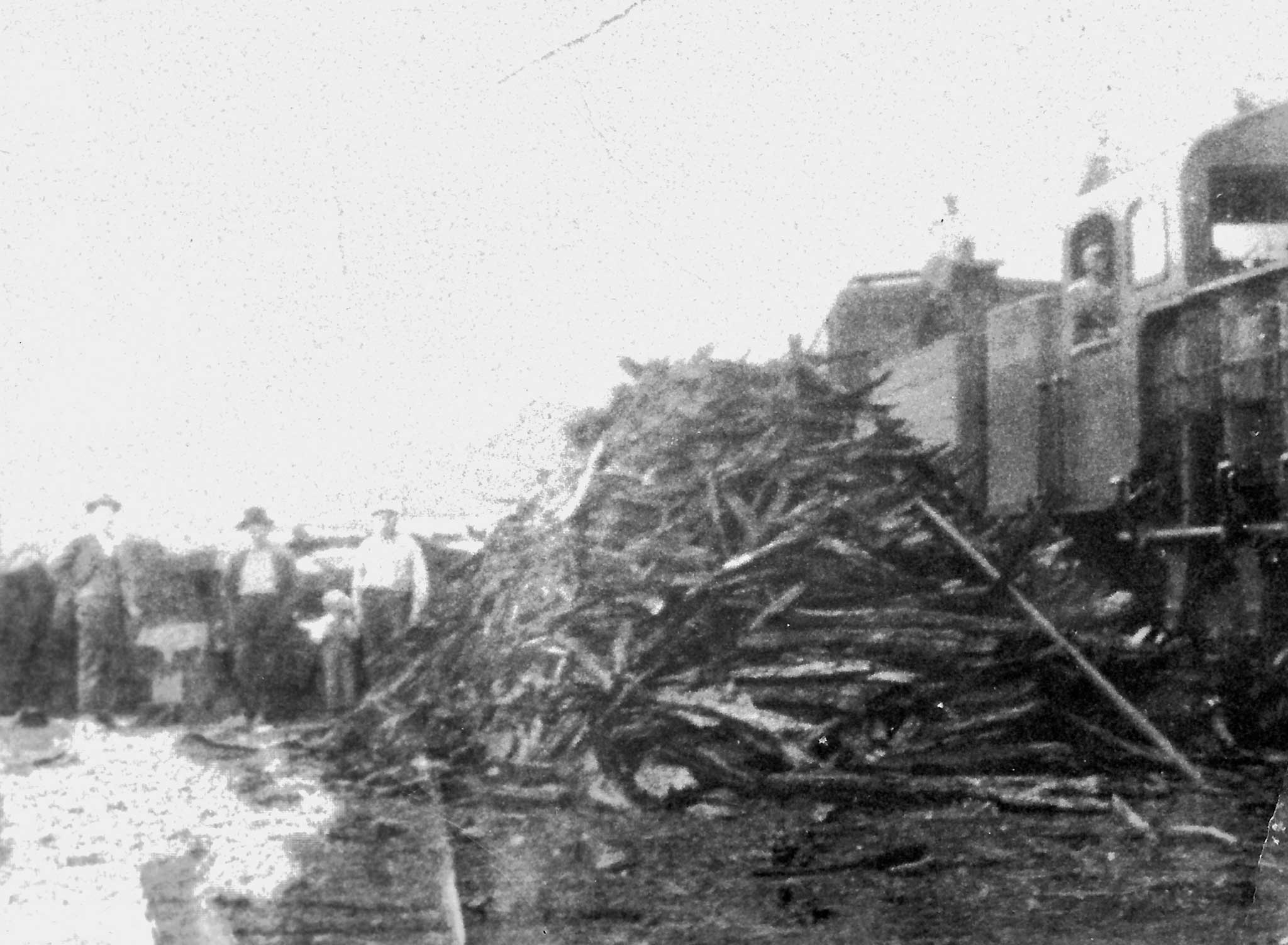 Yes, there was a train in Deep Gap and it was a regular gauge track. My grandfather and some of his brothers bought two engines and some track from the Hassinger Lumber Company. When they finished logging in the Todd and Ashe County area, they sold the engines and tracks. Grandpa and his brothers called it The Deep Gap Tie and Lumber Company. They bought railroad ties, lumber, tanning bark, furs, etc. from the community and shipped them via their train into Virginia. Their tracks intersected with the Ashe County Train which went into Virginia. Alas, the Great Depression came, the Ashe train took up the tracks leading toward Deep Gap and the Deep Gap Tie and Lumber Company was a train spur to nowhere. The Ashe train fell apart, too. The DGTLC sold the tracks and the engines to, ironically, Japanese scrap metal dealers who needed metal for their militarization movement. My dad sold his train whistle, which he had been given, to ASU for $20. Dr. Dougherty used it on the steam plant to signal the beginning and end of classes. They still used the whistle in the 1960's at 8:00, 12:00 and 5:00 when I was there, but the IBM clocks signaled the classes. I don't know what happened to the old whistle. Uncle Virgil used one of them on his lumber planer at Deep Gap, too. Photo courtesy of Mary E. Moretz.