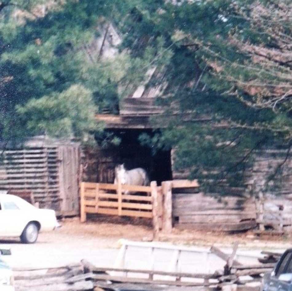 Ben Wellborn's barn, no longer standing., on Hayes Wellborn Road in Stony Fork, the approximate location of where George Bradley's store and U. S. post office were in 1860. This road used to be called Stony Fork Road and was labeled in the US census as the Boone Road, which went from lower Stony Fork in Wilkes County via George Bradley's store in Watauga up to the Gap in Watauga. Photo courtesy of Beatrice Wellborn, Stony Fork Community.